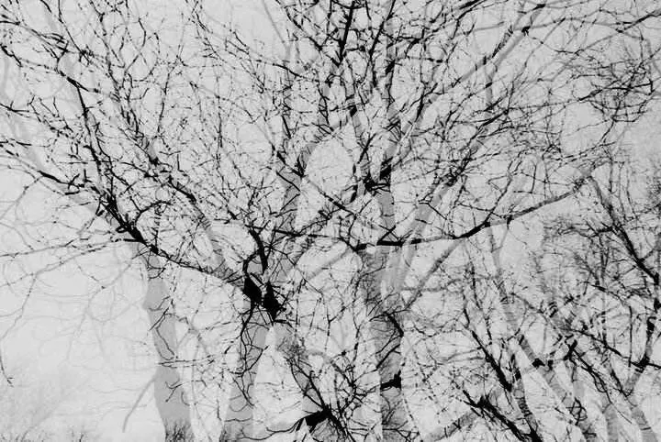 1608105327561736.png QQ圖片20201216145252.png