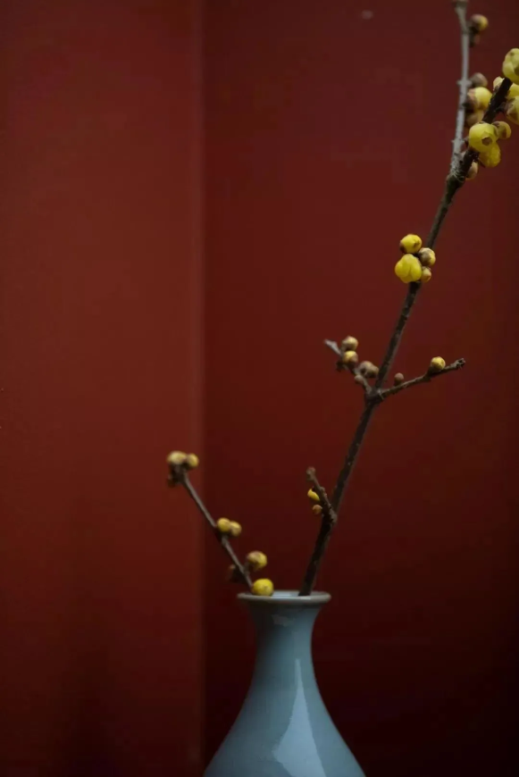 1612403841166188.png QQ圖片20210204093933.png