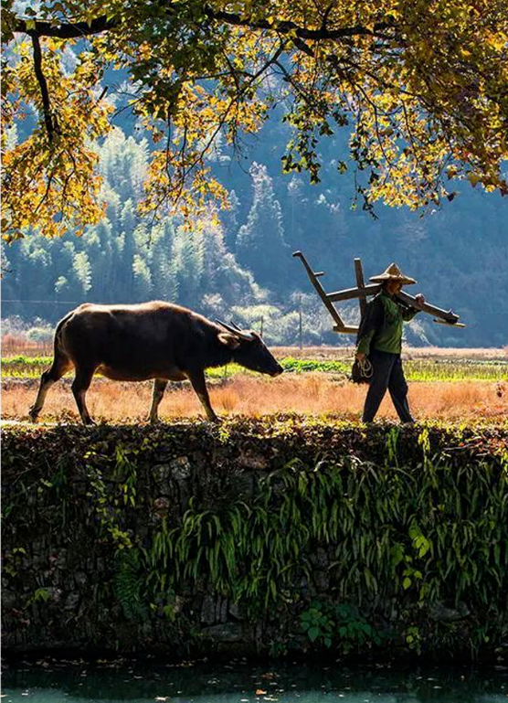 1614132726230822.png QQ圖片20210224093821.png