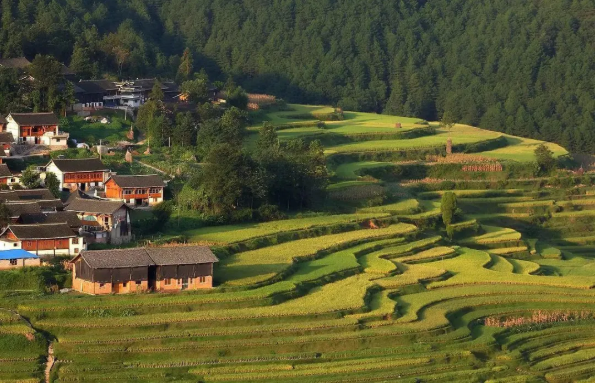 1614132761731798.png QQ圖片20210224093841.png