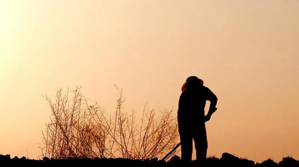 1614132775130618.png QQ圖片20210224093906.png