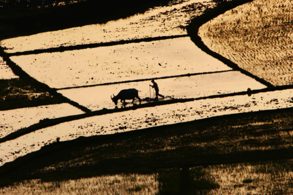 1614132992114791.png QQ圖片20210224100716.png