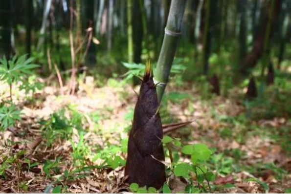 1614133002955219.png QQ圖片20210224100738.png