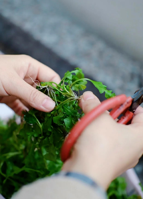 1615357240273251.png QQ圖片20210310135835.png