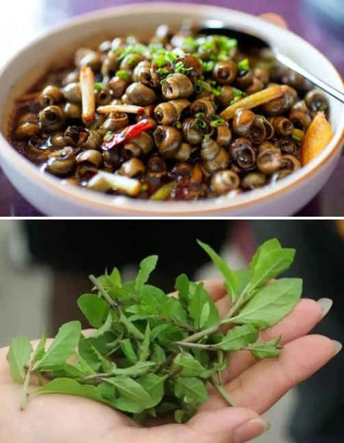 1615357348127399.png QQ圖片20210310140216.png