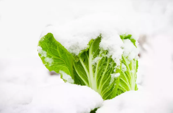 1617775965590094.png QQ圖片20210407135210.png