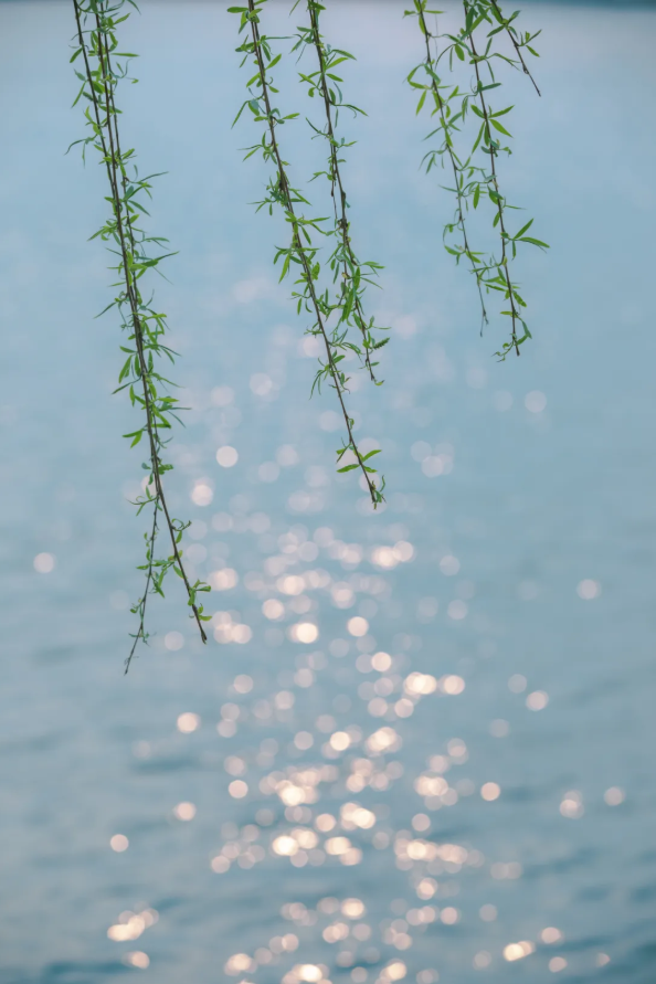 1617861183124310.png QQ圖片20210408110454.png