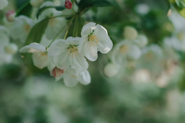 1617861250123836.png QQ圖片20210408110553.png