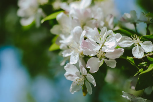 1617861262871221.png QQ圖片20210408110616.png