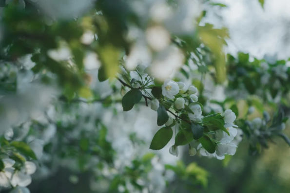 1617861271129955.png QQ圖片20210408110635.png