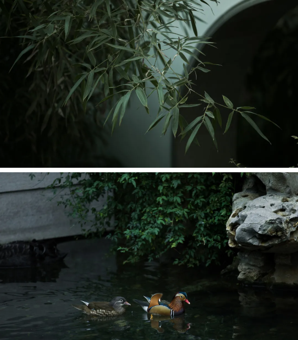 1617861312732745.png QQ圖片20210408110720.png