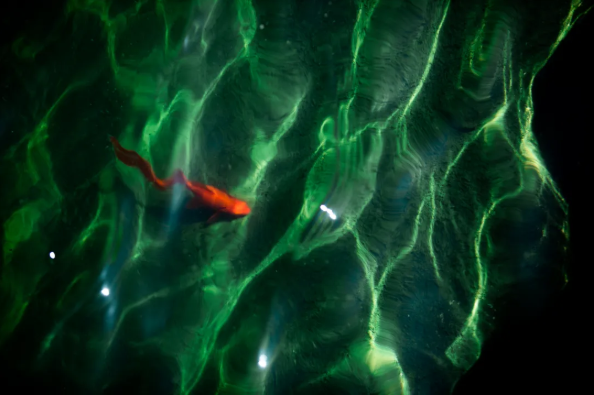 1617948994452264.png QQ圖片20210409140202.png