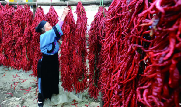 1618278594683645.png QQ圖片20210413092009.png