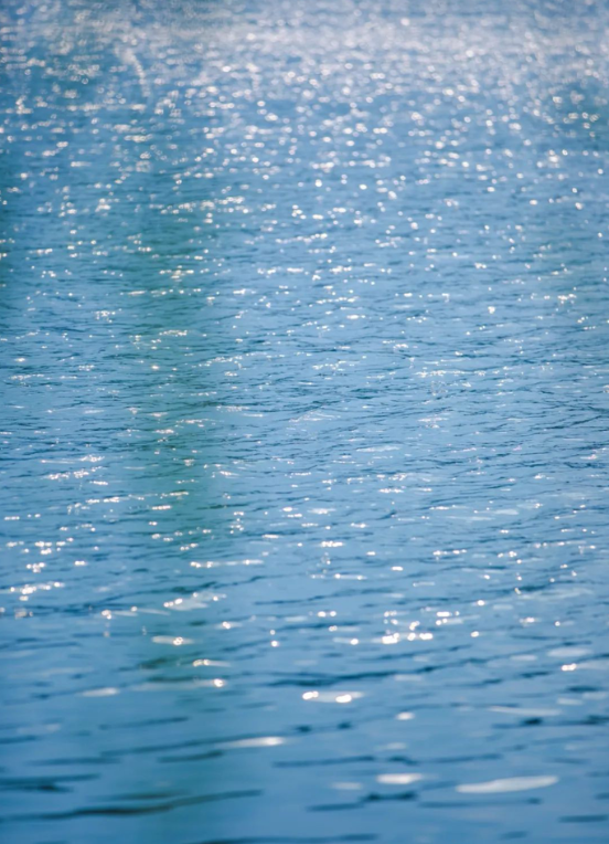 1621390459138669.png QQ圖片20210519095432.png