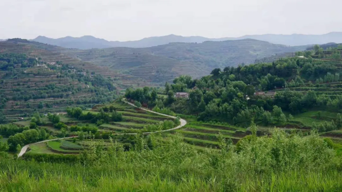 1621390815373085.png QQ圖片20210519095649.png