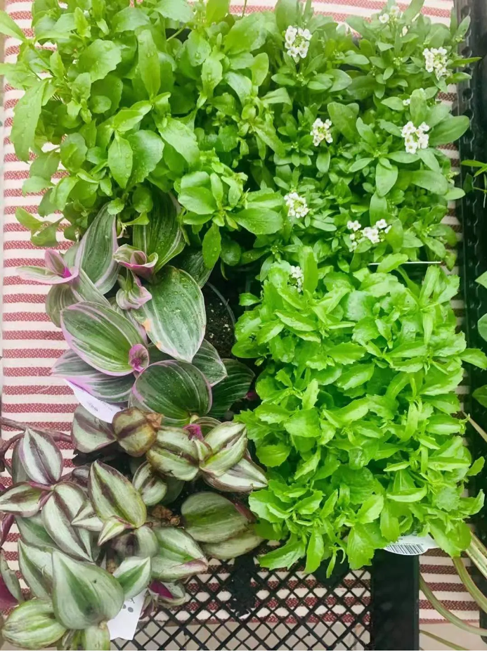 1621391631560144.png QQ圖片20210519095809.png