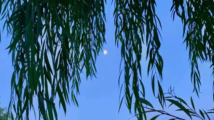 1621391749293390.png QQ圖片20210519095939.png