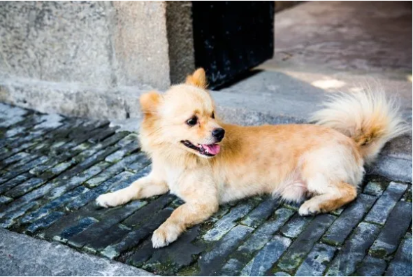 1621476662195364.png QQ圖片20210520095448.png