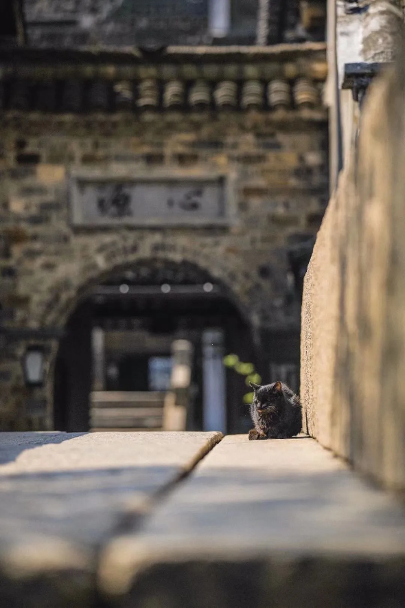 1621476732199495.png QQ圖片20210520095606.png