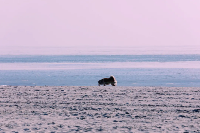 1623808827299931.png QQ圖片20210616090459.png