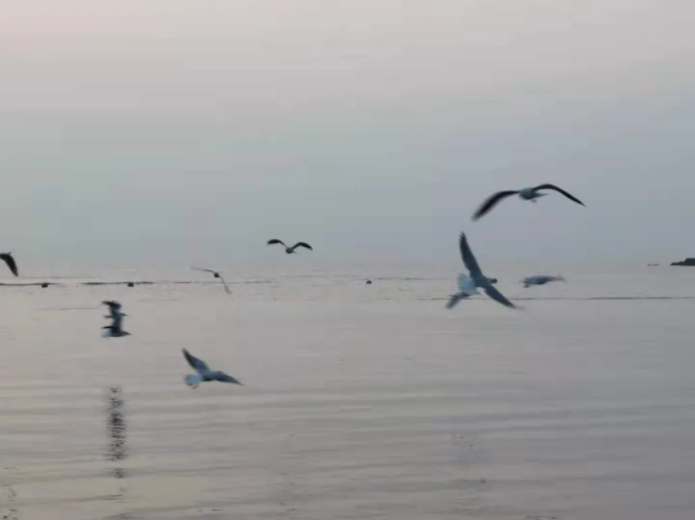 1623808866192309.png QQ圖片20210616090558.png