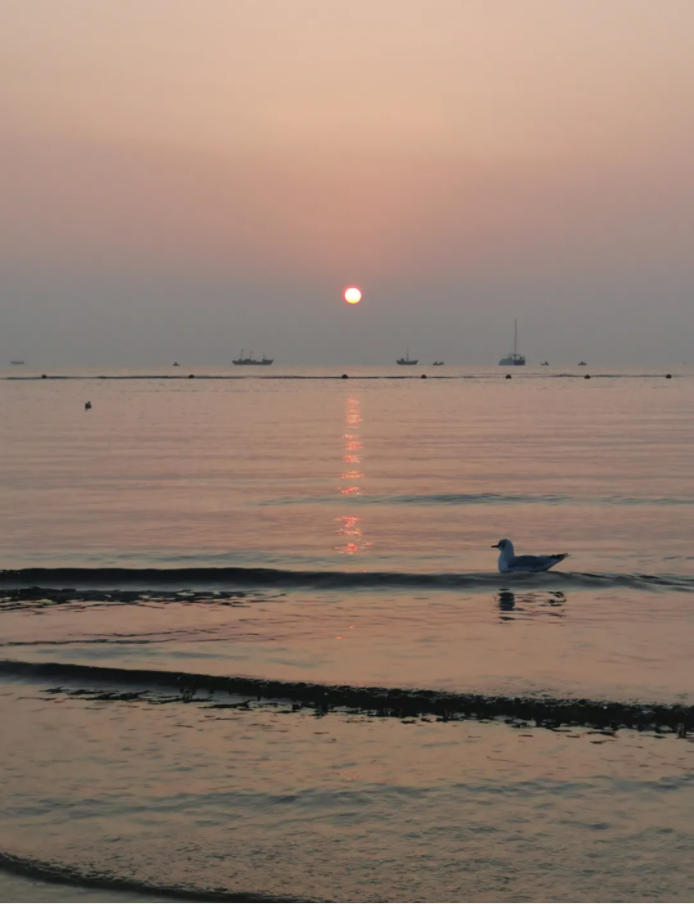 1623808873109898.png QQ圖片20210616090635.png