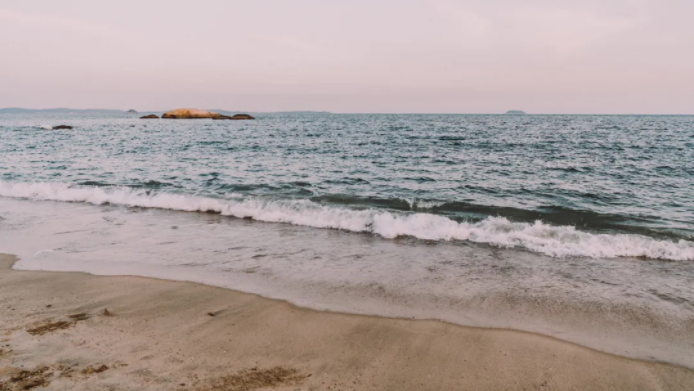 1623808885875481.png QQ圖片20210616090656.png