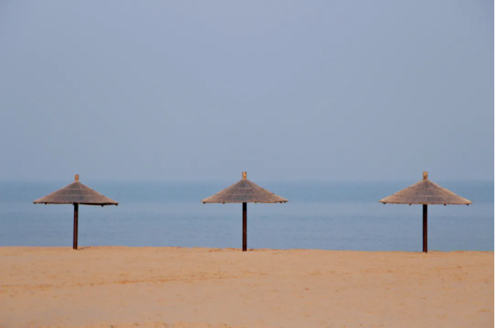 1623808953116999.png QQ圖片20210616091030.png