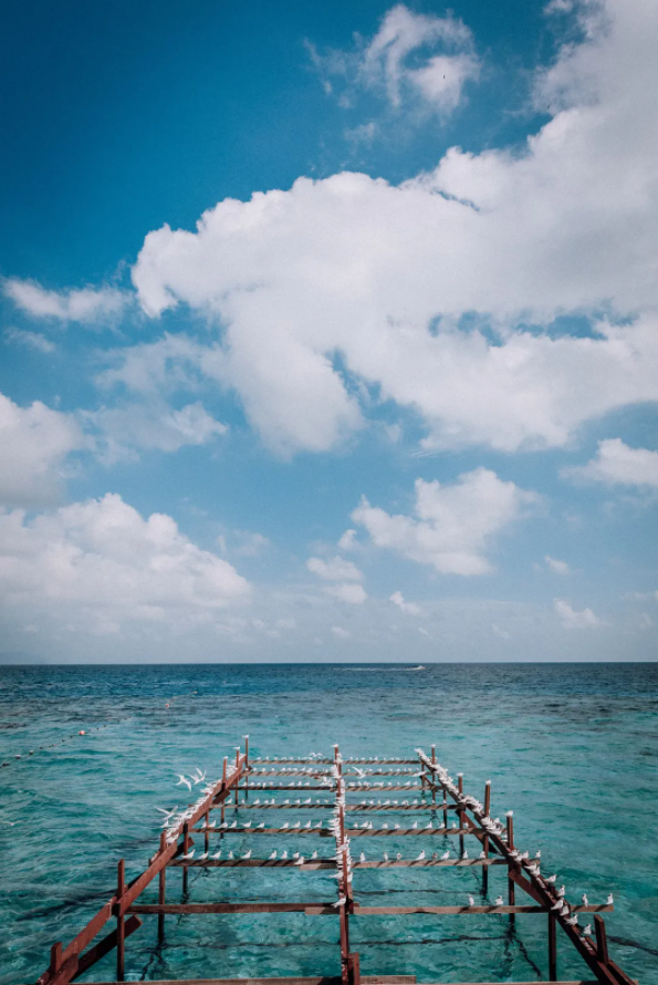 1623808968759553.png QQ圖片20210616091137.png