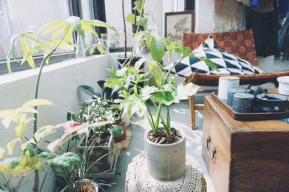 1628494787383843.png QQ圖片20210809144209.png