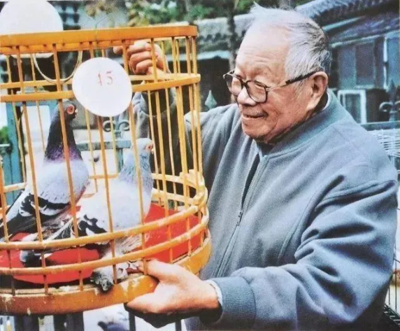 1628648112587642.png QQ圖片20210811100436.png