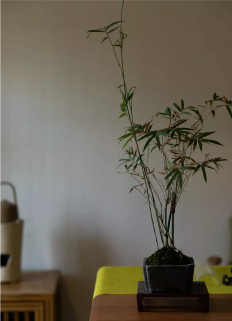 1636526198237836.png QQ圖片20211110142649.png