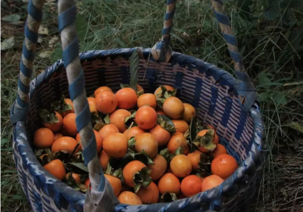 1636697524996788.png QQ圖片20211112135330.png