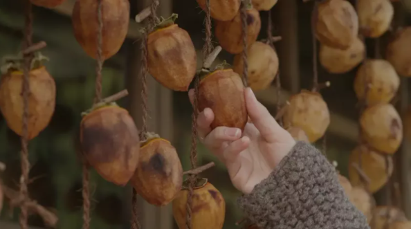 1636697613137787.png QQ圖片20211112135545.png