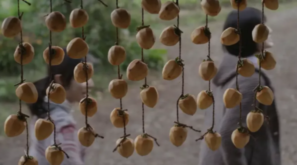 1636697621786620.png QQ圖片20211112135641.png