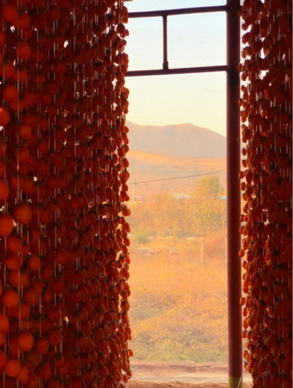 1636697630487550.png QQ圖片20211112135701.png