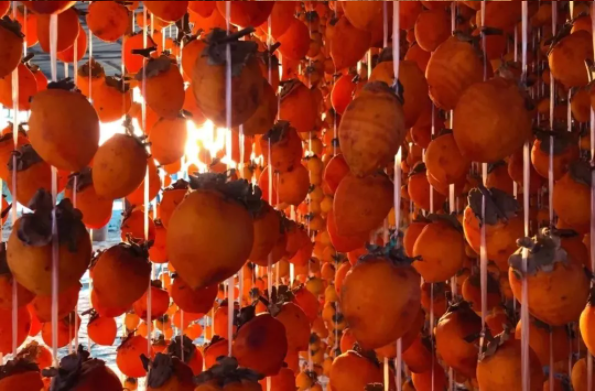 1636697642118638.png QQ圖片20211112135719.png