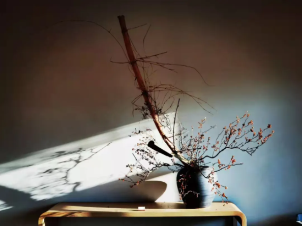 1639709034501836.png QQ圖片20211217102820.png