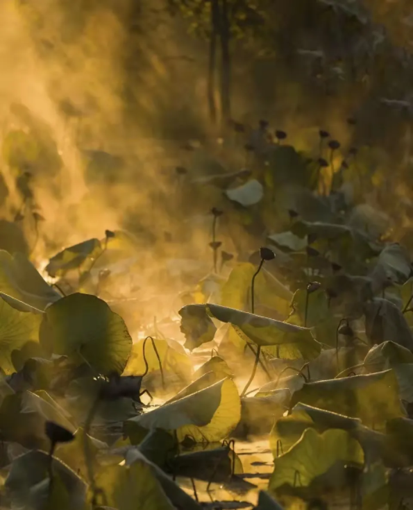 1639982884130468.png QQ圖片20211220143551.png