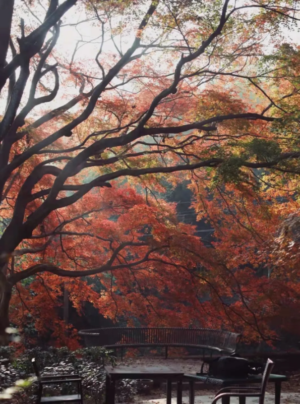 1639982895135119.png QQ圖片20211220143724.png