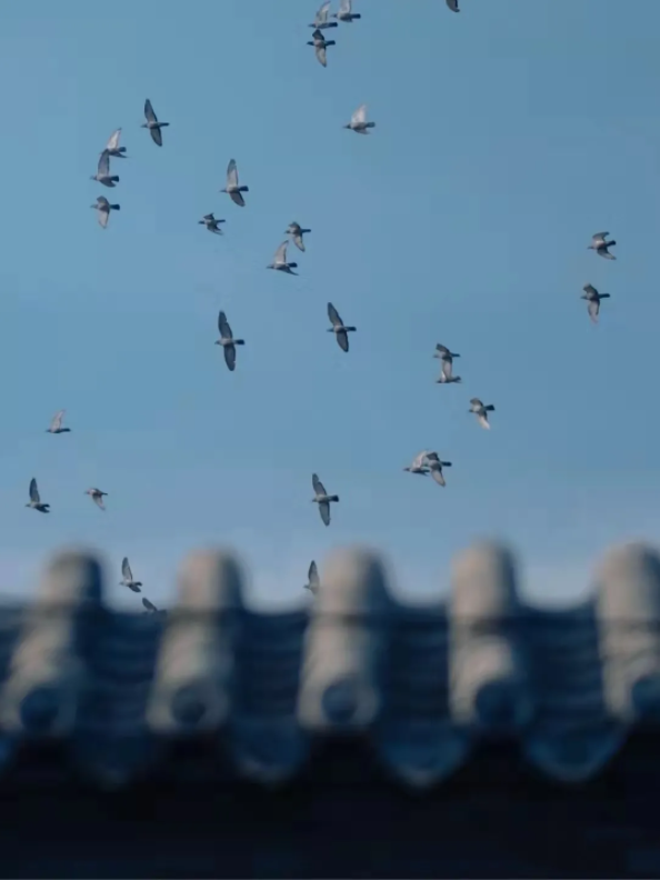 1639982931703139.png QQ圖片20211220143828.png