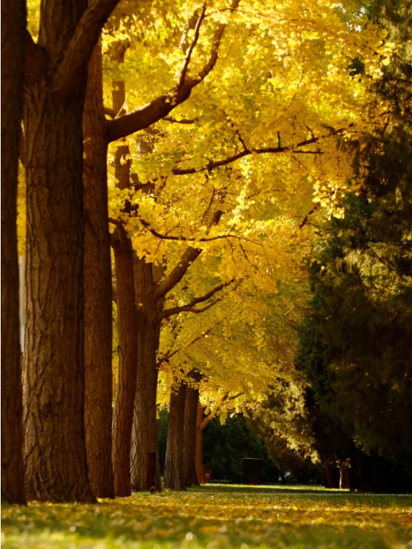 1639982940116142.png QQ圖片20211220143945.png