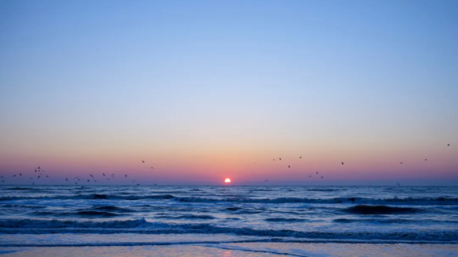 1639984347103310.png QQ圖片20211220150337.png