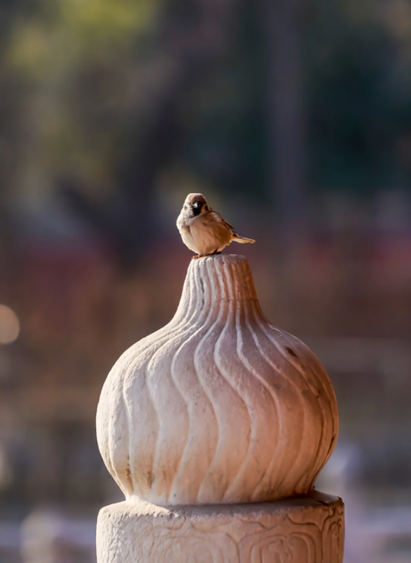 1639984355103026.png QQ圖片20211220150402.png