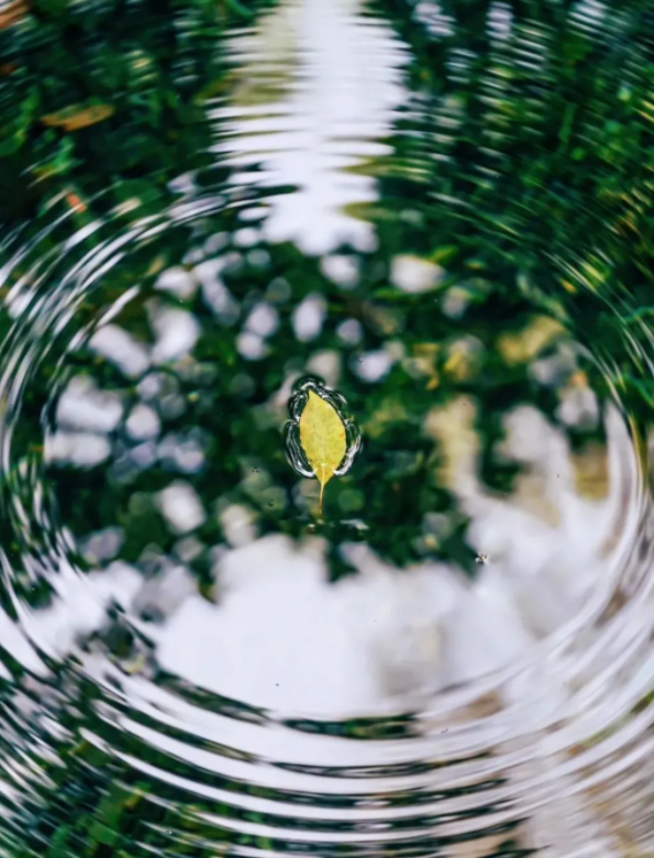 1639984365159217.png QQ圖片20211220150424.png