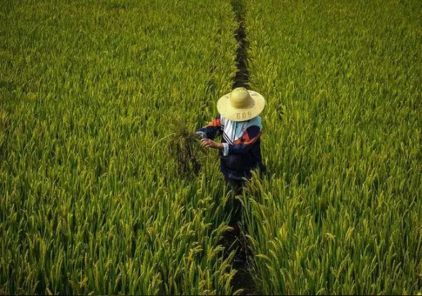 1644371419886885.png QQ圖片20220209091418.png