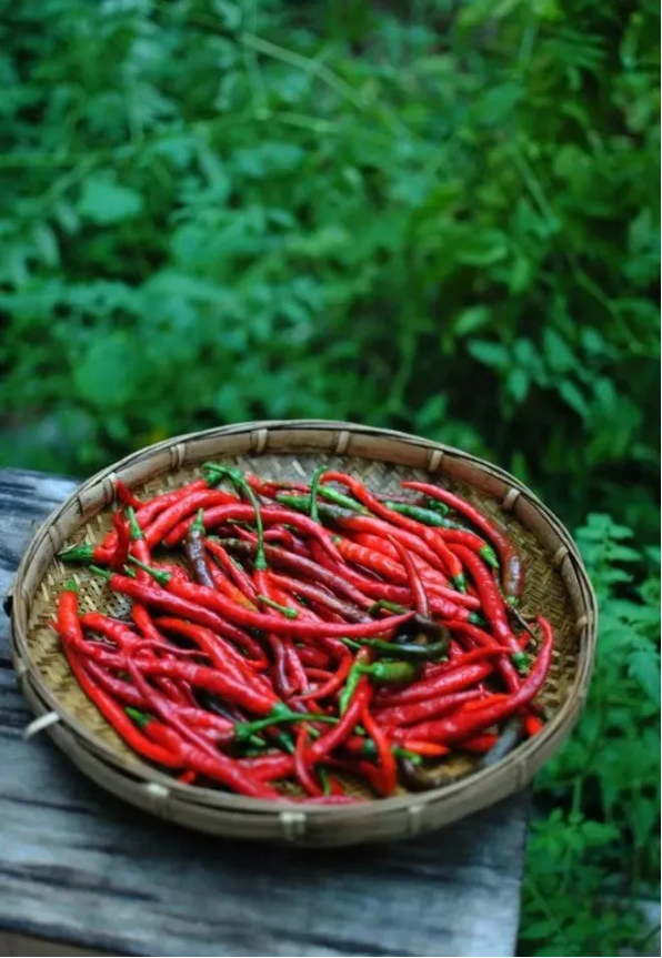 1644371495275231.png QQ圖片20220209091637.png