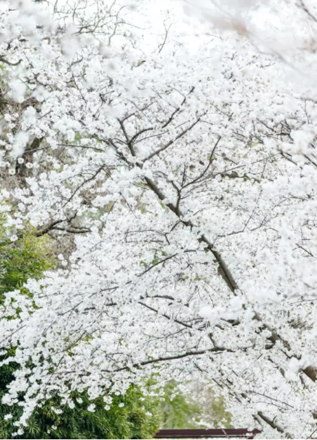 1644477892127206.png QQ圖片20220210151102.png