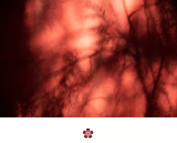 1644477961247518.png QQ圖片20220210151145.png