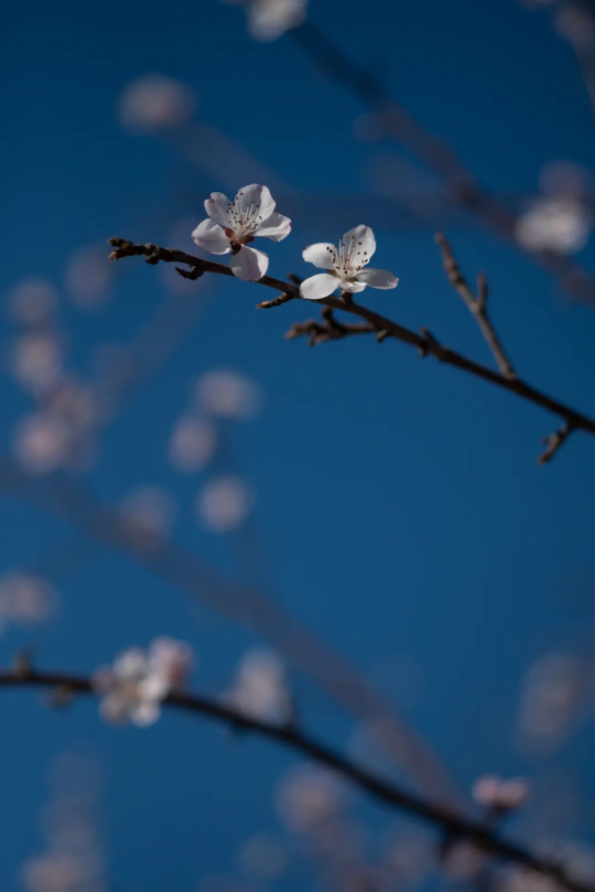 1644477970673318.png QQ圖片20220210151227.png